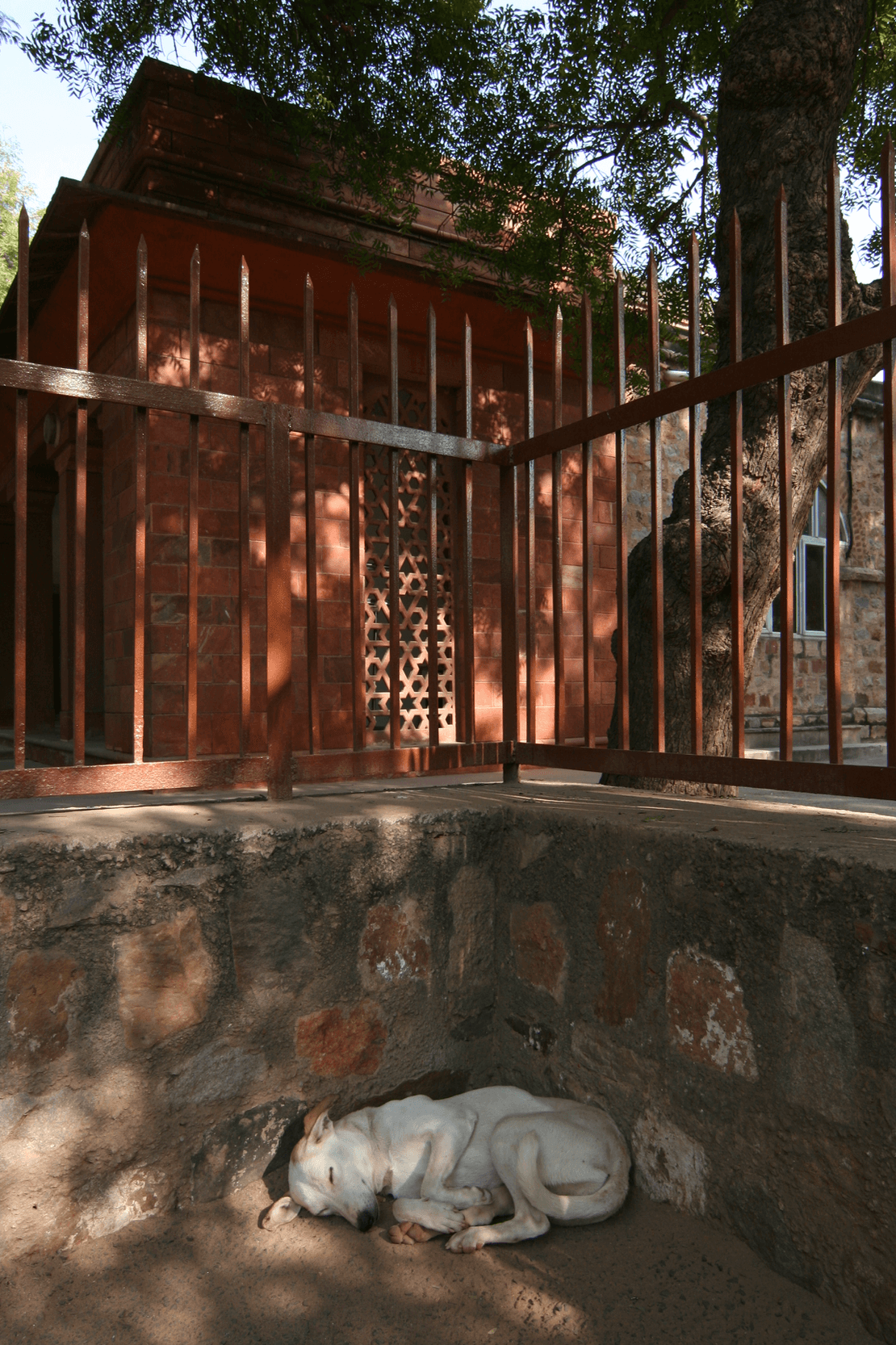 Delhi_20173