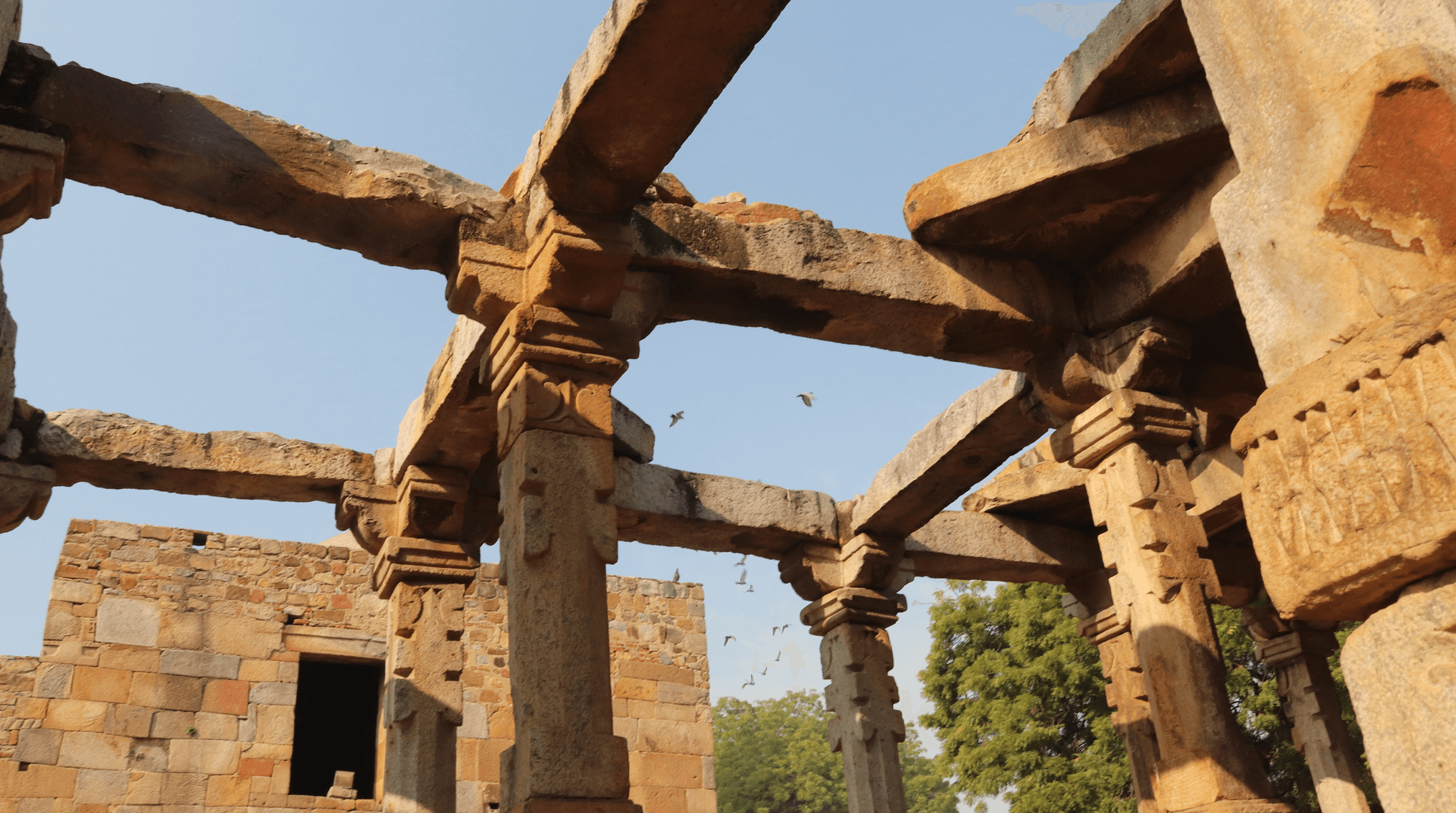 Delhi_20175